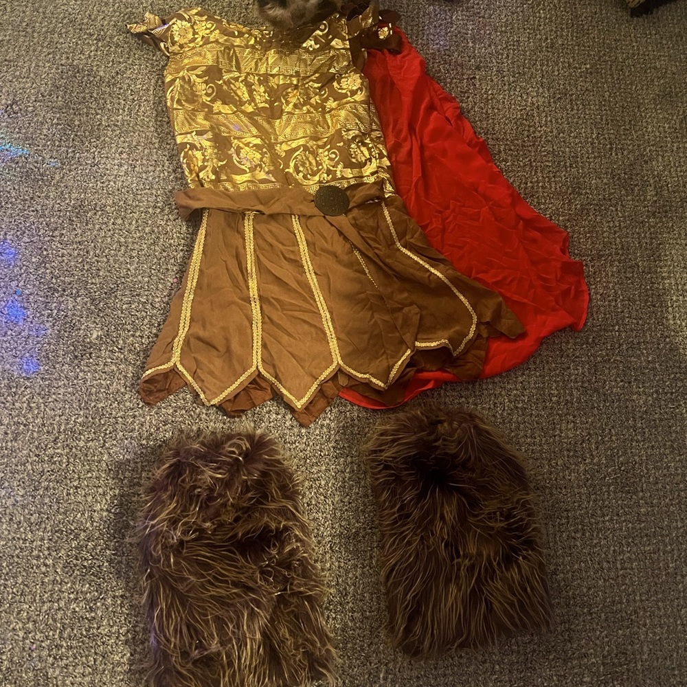Mens size Large Renaissance Costume